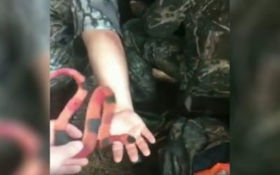 Epic Snake-In-the-Blind Prank Will Leave You Laughing