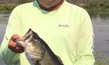 Fishing a 10-inch worm – By Lee Bailey Jr.