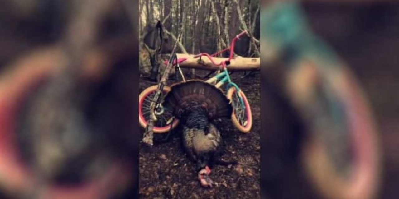 Georgia Man Bags Public Land Turkey Using Daughter’s Pink Bike