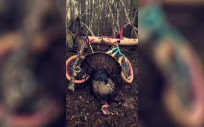 Georgia Man Bags Public Land Turkey Using Daughter’s Pink Bike