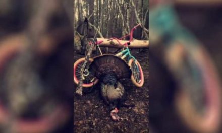Georgia Man Bags Public Land Turkey Using Daughter’s Pink Bike