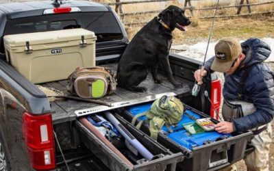 Here’s Your Chance to Win a DECKED Storage System and a Walter PPQ