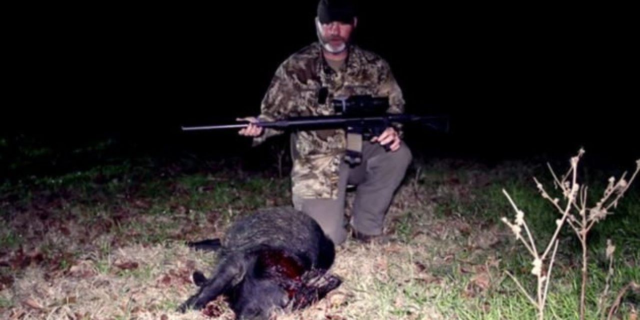 Hogs Don’t Stand a Chance Against a Suppressed .50 Beowulf