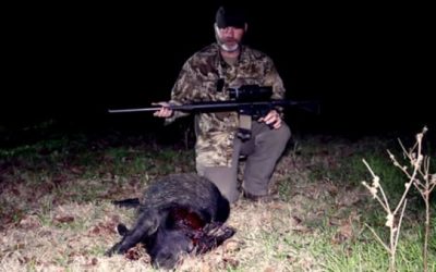 Hogs Don’t Stand a Chance Against a Suppressed .50 Beowulf