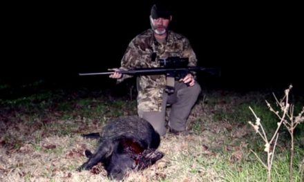 Hogs Don’t Stand a Chance Against a Suppressed .50 Beowulf