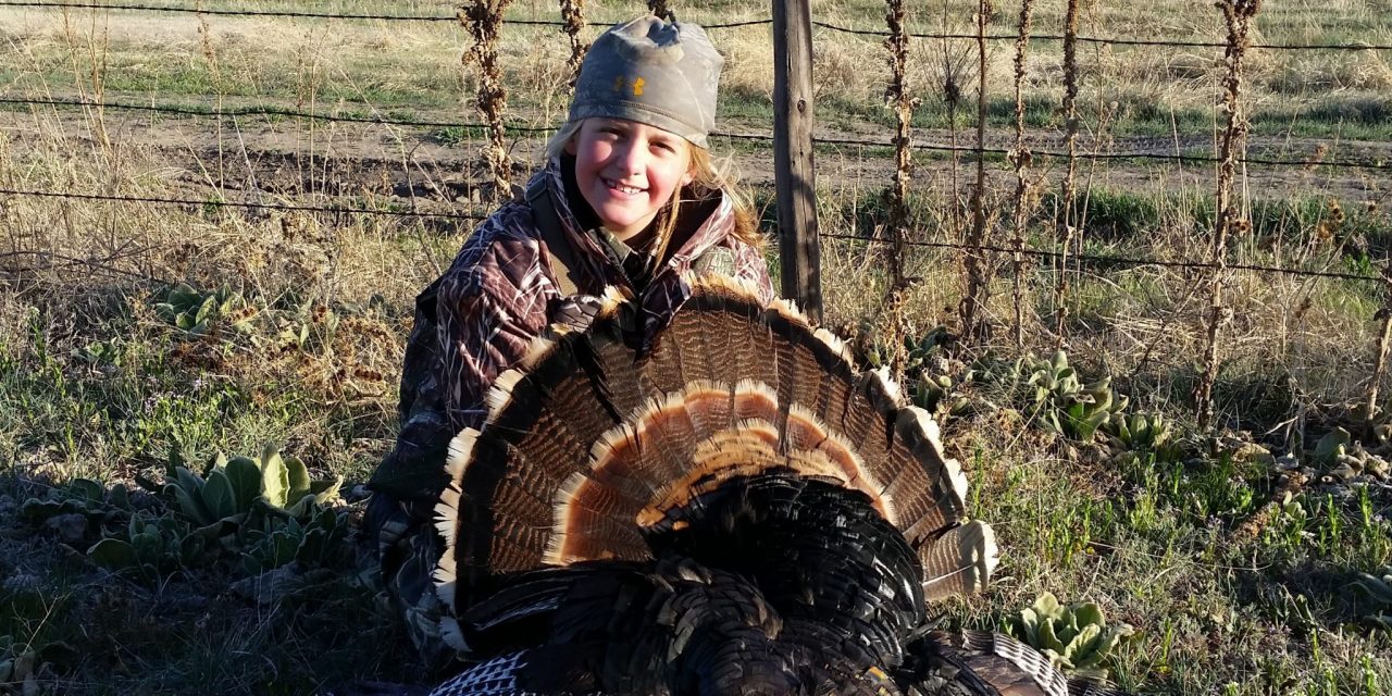 Hunting The Hills For Your Spring Gobblers
