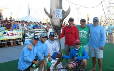 Inaugural Swordfish Cup To Be Held Globally in July