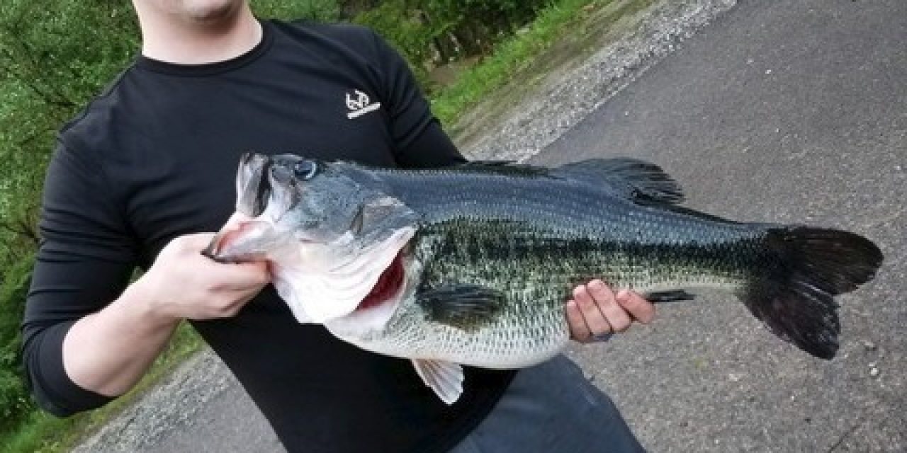 Kentucky Records A New Giant Largemouth