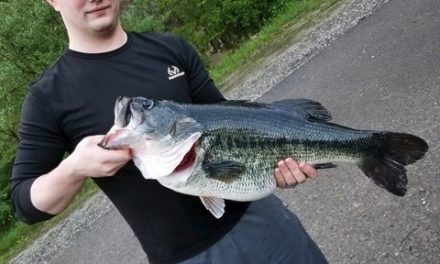 Kentucky Records A New Giant Largemouth