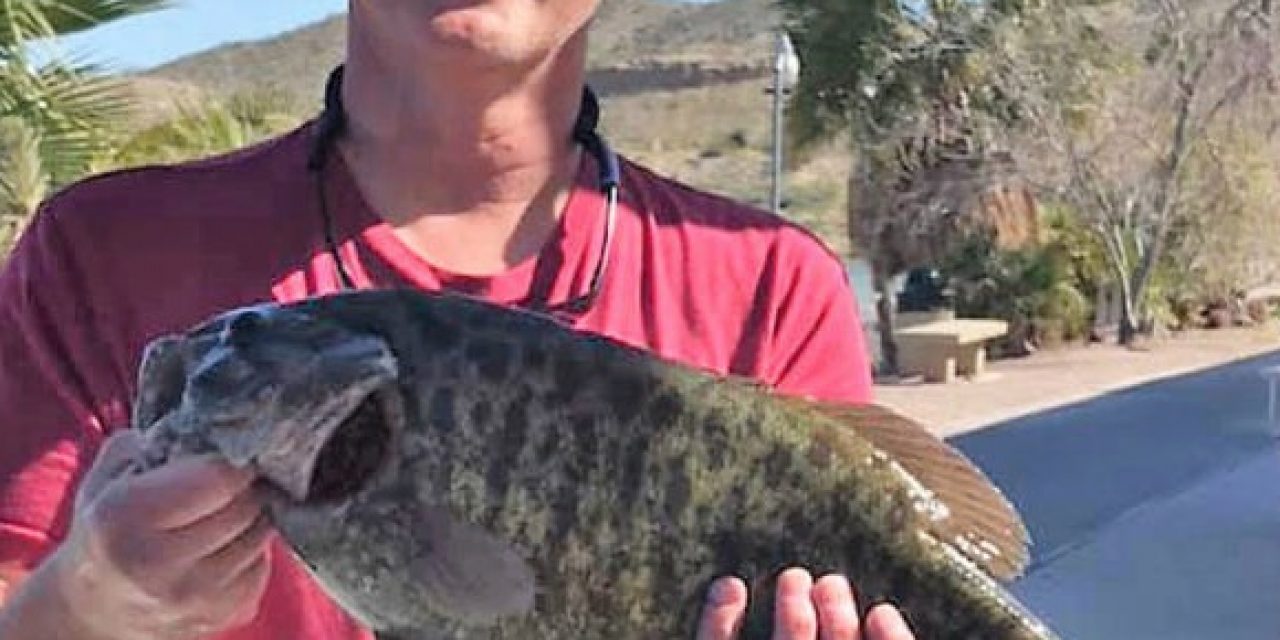 Lake Mohave Produces A Giant Smallie