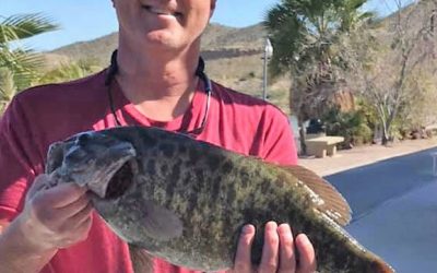 Lake Mohave Produces A Giant Smallie
