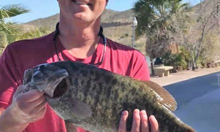 Lake Mohave Produces A Giant Smallie