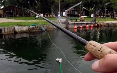 LDWF Reminds Outdoorsmen of Harassment Violations