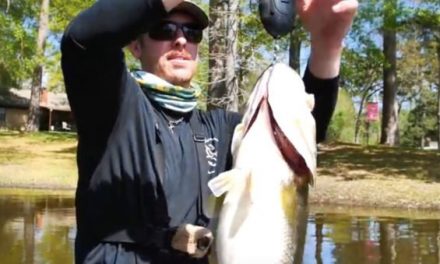 LFG Pulls 10.5-Pound Bass Out of Muddy Creek