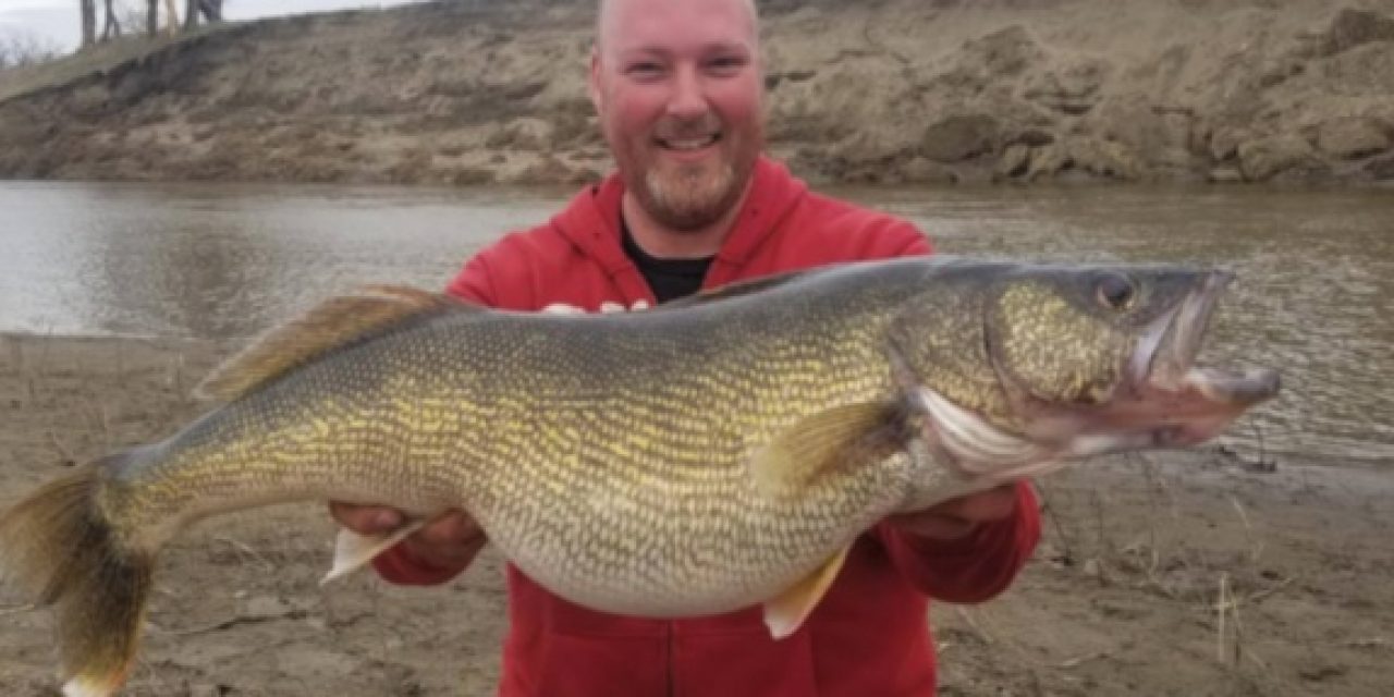 Lincoln ND Angler’s Walleye Breaks Record