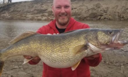 Lincoln ND Angler’s Walleye Breaks Record