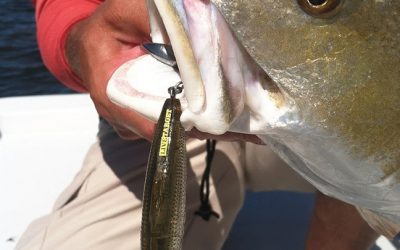 LIVETARGET Twitchbaits are Tops