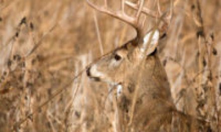 Major Public Land Tip: Keep a Secret