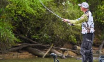 MLF – Andy Morgan Claims Win on Lake Chickamauga