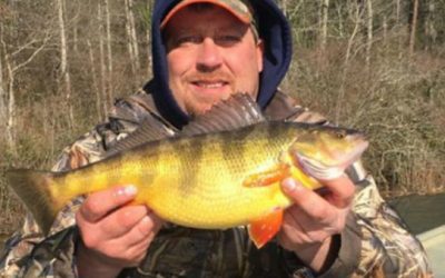 New Tennessee State Record Perch Caught By Michigan Angler