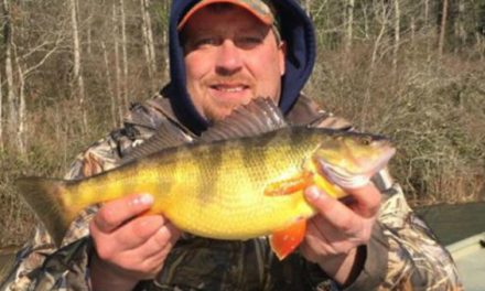 New Tennessee State Record Perch Caught By Michigan Angler
