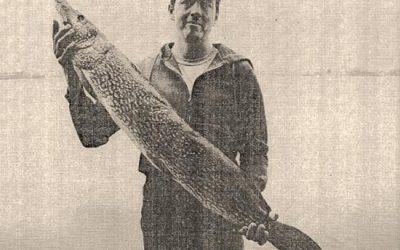Northern Pike Populations Monitoring in Indiana