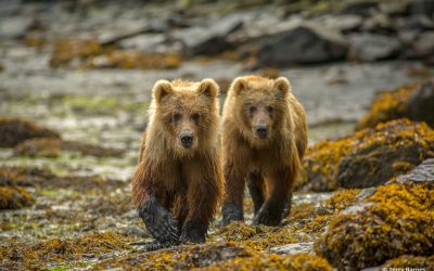 Photo Of The Day By Terry Barnes