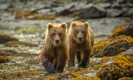 Photo Of The Day By Terry Barnes