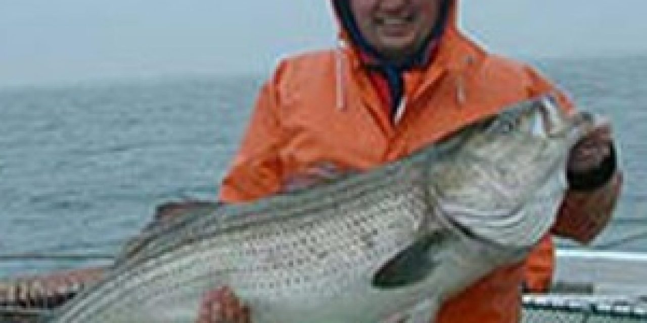 Reasonable restrictions help rockfish thrive