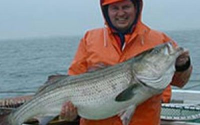 Reasonable restrictions help rockfish thrive