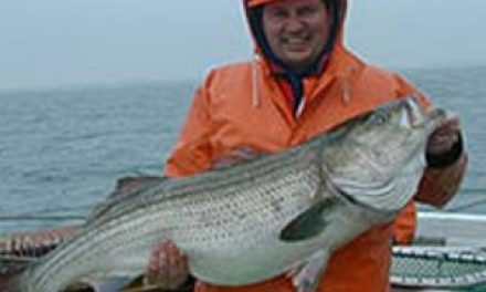 Reasonable restrictions help rockfish thrive