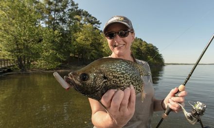 Remote Fishing with Offline Mapping As Part Of The Plan