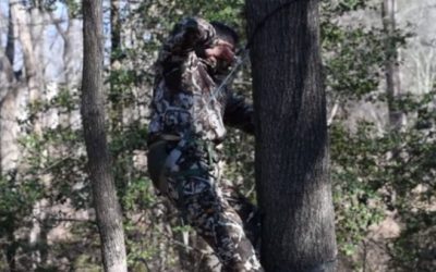 Saddle vs. Treestand: Which Method is Best?