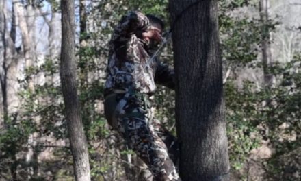 Saddle vs. Treestand: Which Method is Best?