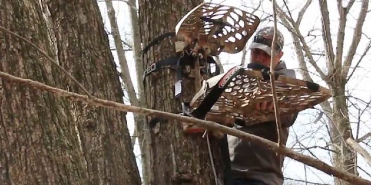 Shed Hunting: Is Now the Best Time to Hang Your Treestands?