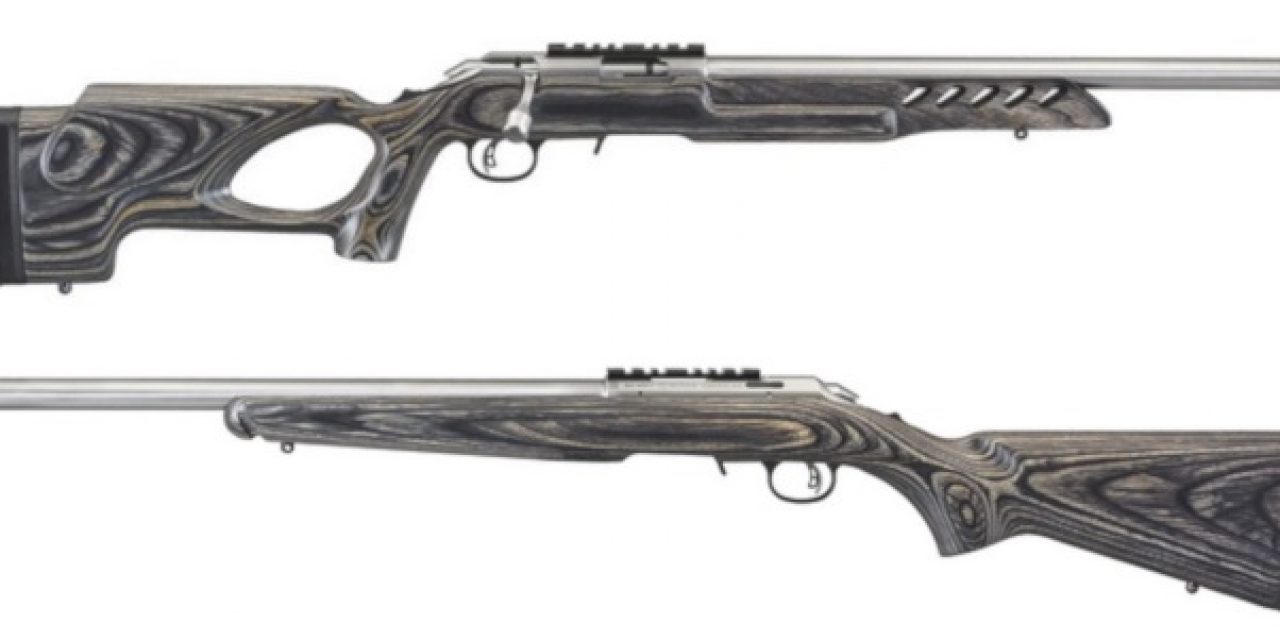 Stainless Ruger American Rimfires
