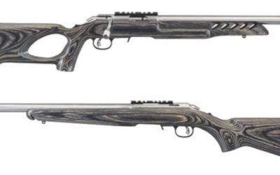 Stainless Ruger American Rimfires