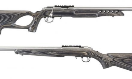 Stainless Ruger American Rimfires