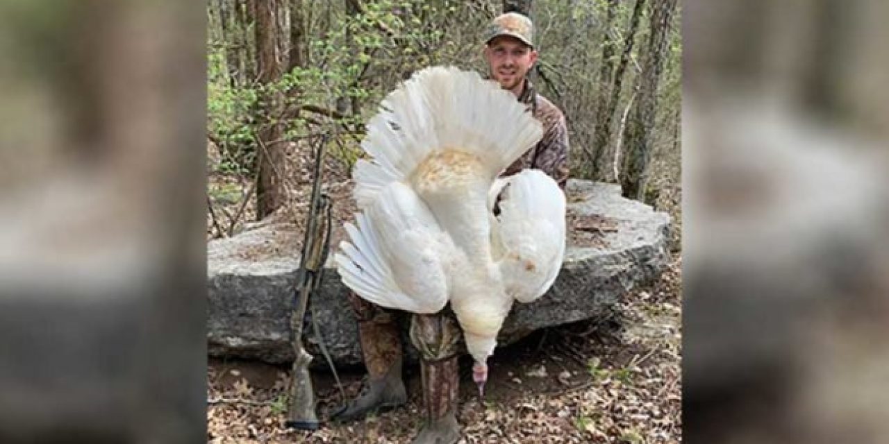 Tennessee Hunter Tags White Turkey