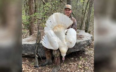 Tennessee Hunter Tags White Turkey