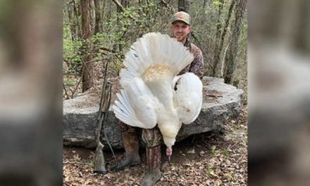 Tennessee Hunter Tags White Turkey