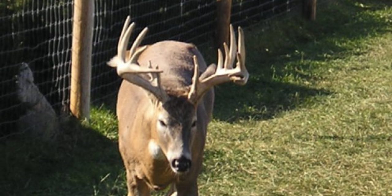 Texas Proposes Expanding CWD Containment Zone