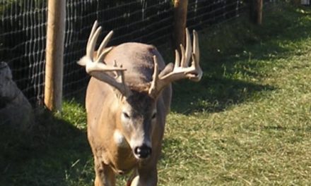 Texas Proposes Expanding CWD Containment Zone
