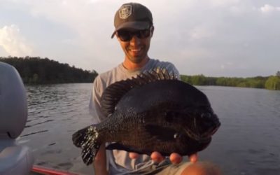 The 5 Most Likely Places the Next World Record Bluegill Will be Caught