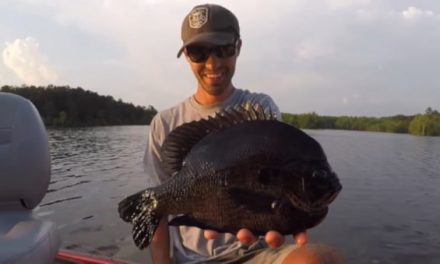 The 5 Most Likely Places the Next World Record Bluegill Will be Caught