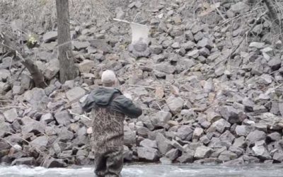 The Minnesota DNR Used a “Trout Zipline” to Stock a Creek