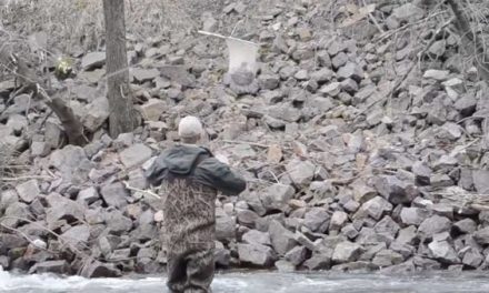 The Minnesota DNR Used a “Trout Zipline” to Stock a Creek