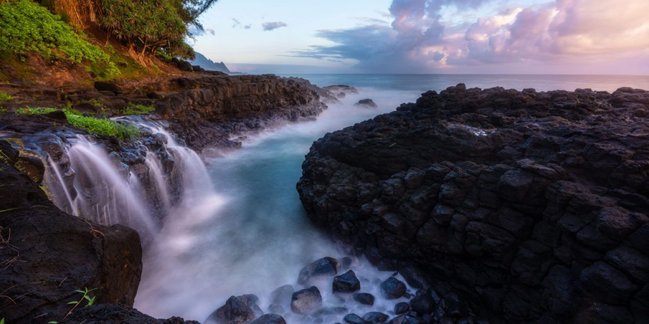 The Tropics Assignment Winner Jared Boaz