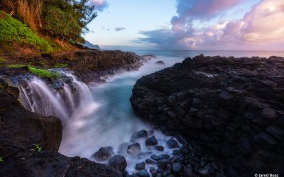 The Tropics Assignment Winner Jared Boaz