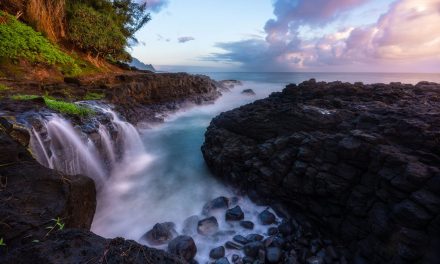 The Tropics Assignment Winner Jared Boaz